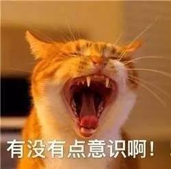 我这一套彩妆花了不到500块！