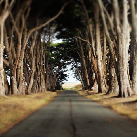 美国旅游10个必去的地方,美国加州有什么好玩的地方