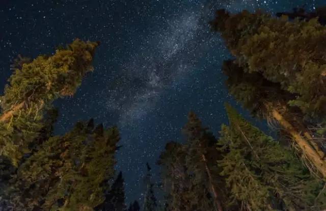 美国旅游10个必去的地方,美国加州有什么好玩的地方