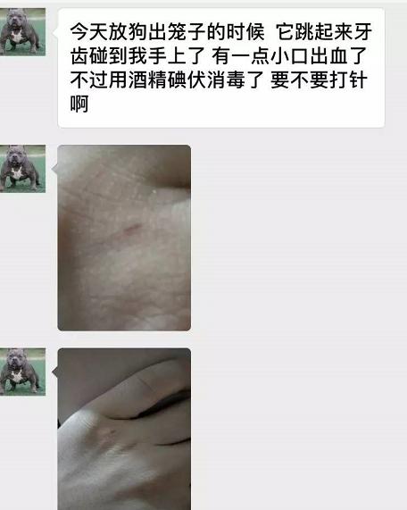 正确认识狂犬病知真相不恐慌,专家讲解狂犬病全过程