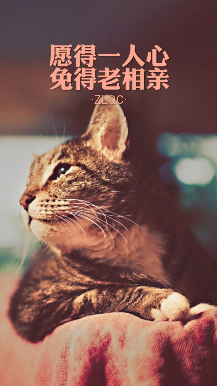 28句深入骨髓的文字，拿来做手机壁纸，时刻注视，哪句最为戳中你的心扉？