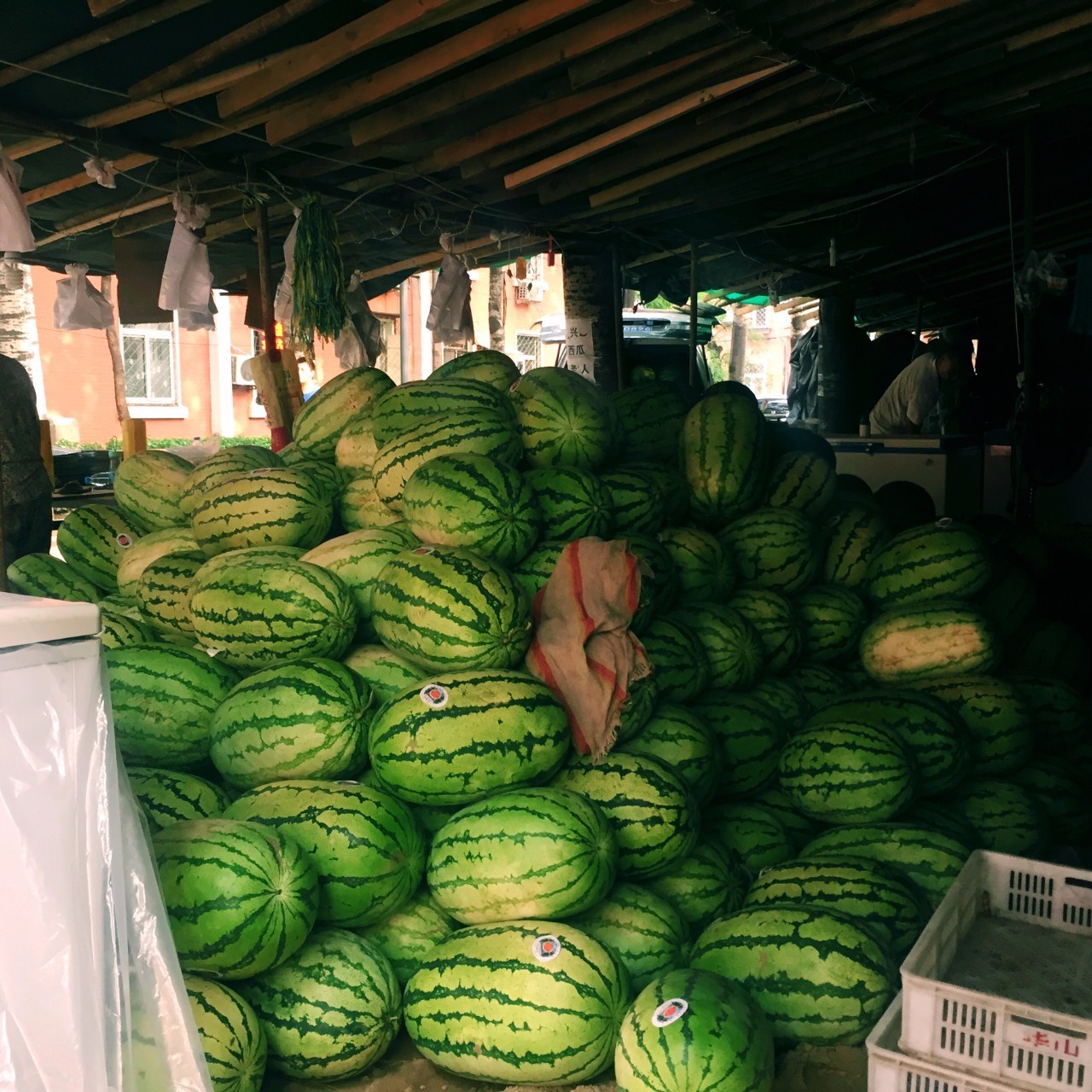 北京科技大学这个西瓜摊神了，一到夏天就成北科吃货聚集地