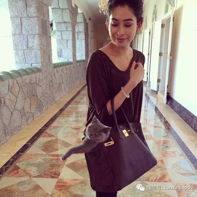 柔佛王室唯一的公主,柔佛唯一公主嫁给荷兰平民