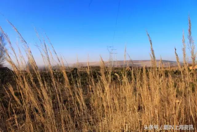 上海话念不了诗,上海话念古诗词