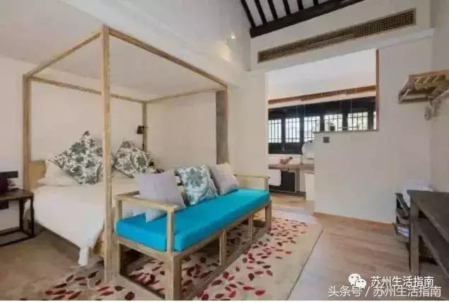 撸猫撸狗好去处苏州,苏州可以撸猫的园