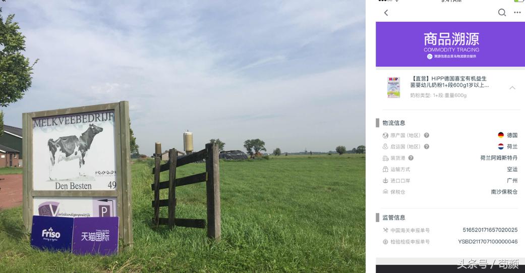 各国争抢全球黄金奶源带，网友评论：别争了，都在天猫国际呢！
