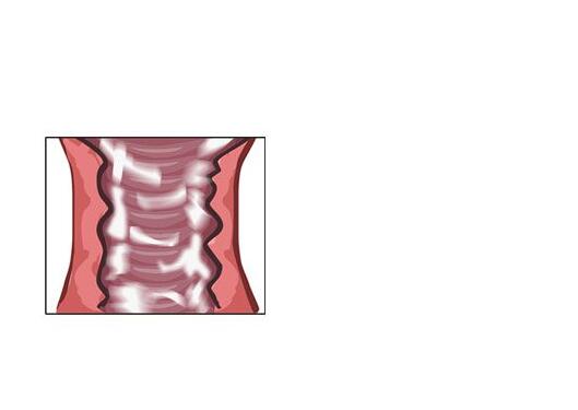 你绝对不知道的怀孕十个冷知识,10大怀孕初期症状详解