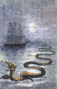 深海为什么总有”海怪“作怪，世界许多国家舰船的航海日志上，都有发现”海怪“的记录