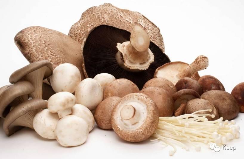 减肥期间吃得少便秘怎么办,轻断食减肥便秘怎么办