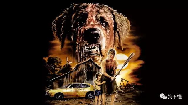 正确认识狂犬病知真相不恐慌,专家讲解狂犬病全过程