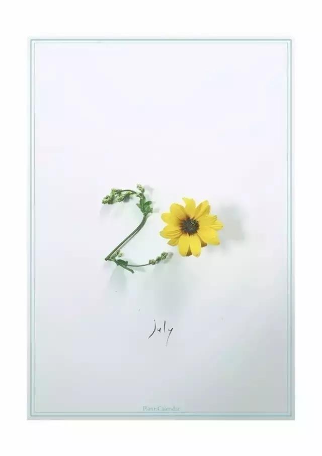 diy干花教程5朵,自己动手diy的干花