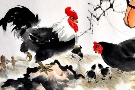 什么生肖和什么生肖最佳搭配,最合适的生肖组合