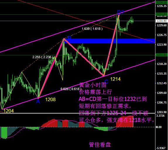 金价关注,关注黄金金价最新消息今天