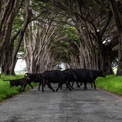 美国旅游10个必去的地方,美国加州有什么好玩的地方
