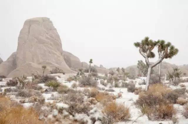 美国旅游10个必去的地方,美国加州有什么好玩的地方