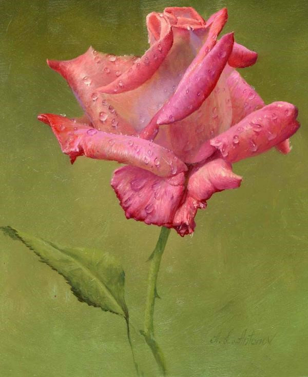 油画玫瑰花用刮刀画法,油画玫瑰花的作品欣赏