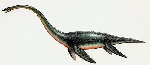 深海为什么总有”海怪“作怪，世界许多国家舰船的航海日志上，都有发现”海怪“的记录