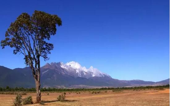 丽江旅游拍婚纱照攻略,去丽江拍婚纱照的攻略