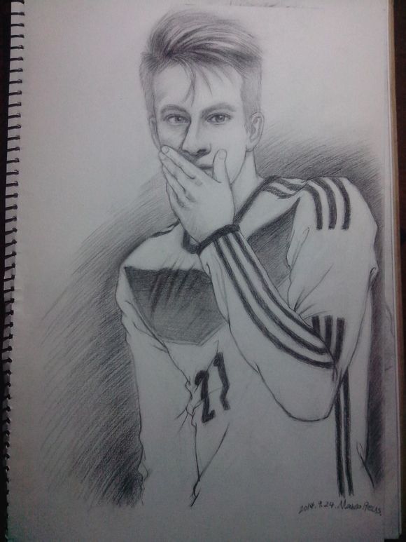 足坛人物志马尔科罗伊斯,马尔科罗伊斯个人资料