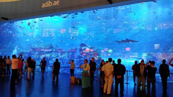 迪拜高温来袭平均温度40度以上,迪拜高温突破50度达70度