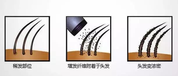 日本抗头发毛躁神器,日本平价变发神器