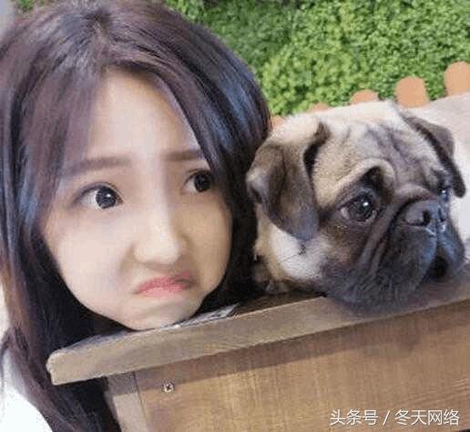 白条闪付和京东闪付有什么区别,白条闪付和京东闪付一样吗