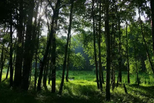 第一次去五台山最应该去哪个寺院,五台山自驾游攻略五台山地图