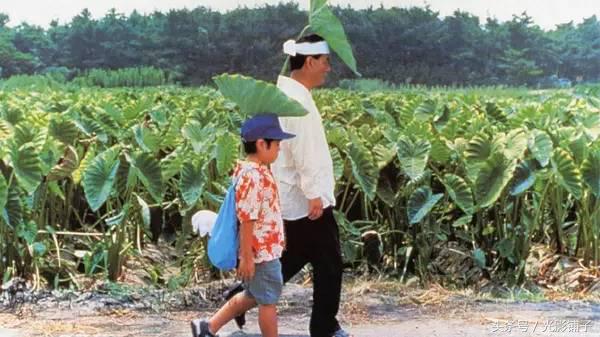 九部适合春天看的电影,九部值得看的电视剧