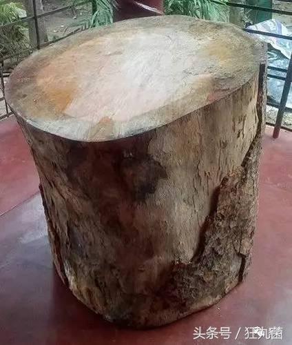 能热饭还能当马桶？别拦我，请把我埋在这样的电脑机箱里