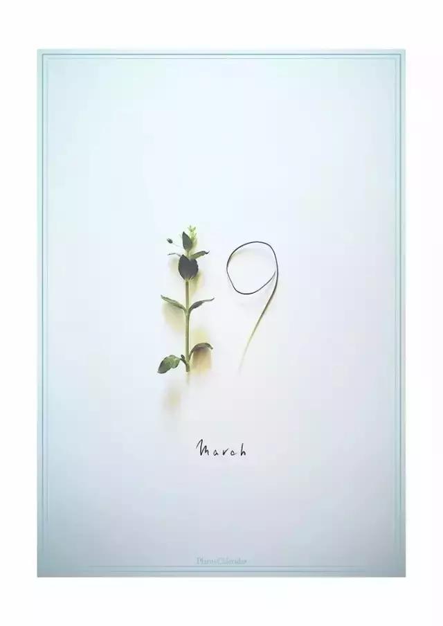 diy干花教程5朵,自己动手diy的干花