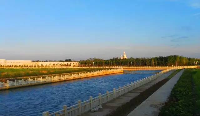 上海老夫妻旅行路线攻略,上海适合老年人去的地方推荐