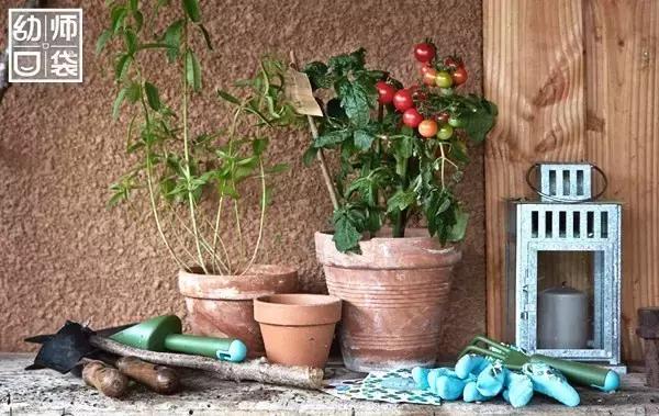 适合宝宝玩的室内小游戏,适合亲子在家玩的小游戏