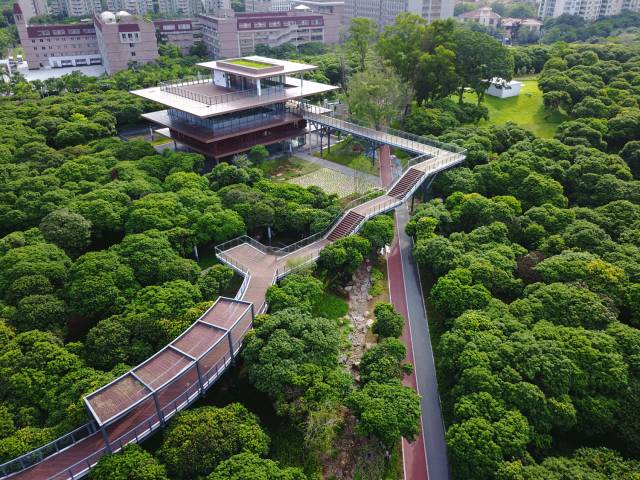 又多了一个免费约会公园！空中栈道、荔枝林、*瑰园玫**，环境超棒的！