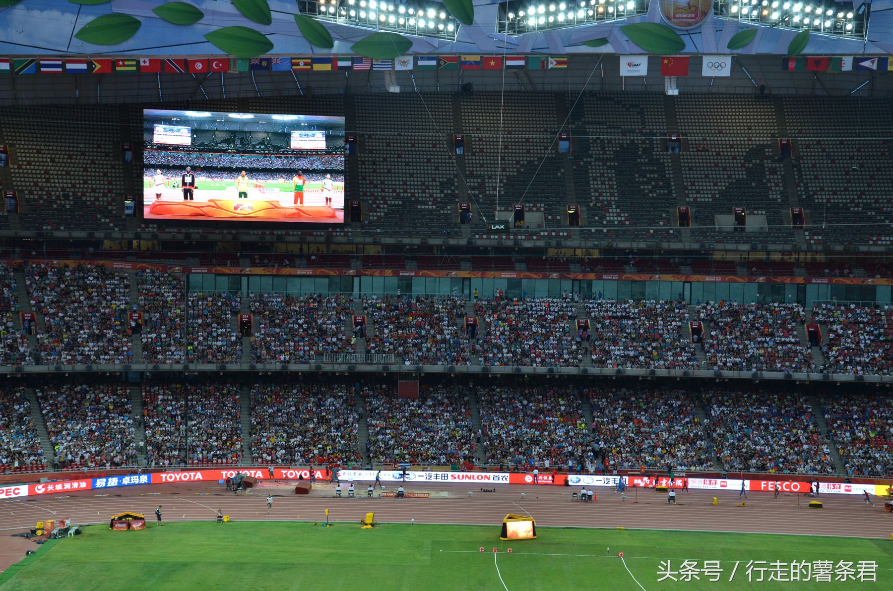 鸟巢体育馆上的鸟窝多高,北京鸟窝属于什么鸟巢