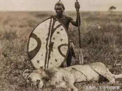 非洲大草原真正的霸主，连狮子见了都要绕道