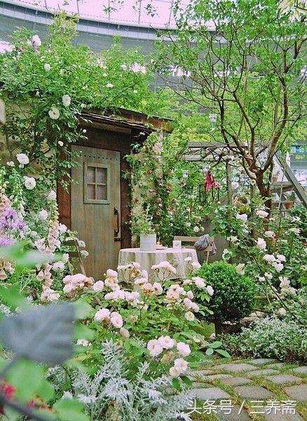 王维描写山水田园派的诗句,王维的山水田园诗摘抄