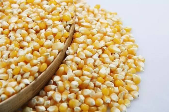 五谷杂粮养生配方大全适合青少年,提高免疫力五谷杂粮粉配方大全