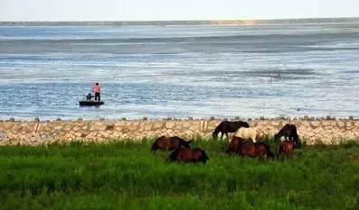上海老夫妻旅行路线攻略,上海适合老年人去的地方推荐