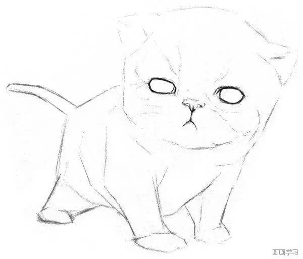 素描大熊猫,零基础怎么画出可爱猫咪素描教程