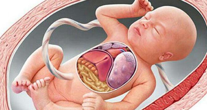 孕期小出血，大流产！妊娠早期的这点小知识不可不知