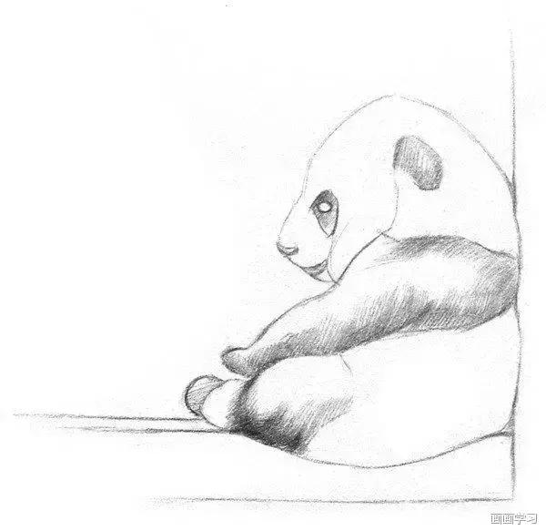 素描大熊猫,零基础怎么画出可爱猫咪素描教程
