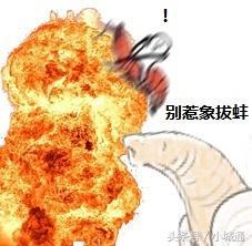 盘点网络上那些梗原版,网络上的那么多梗都是哪来的