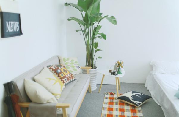 最美证件照隐藏的秘密,期待已久的最美证件照终于来了