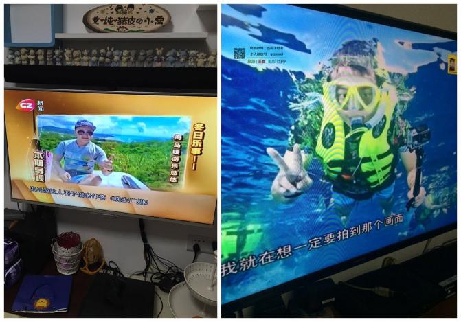 帕劳深度解析游玩攻略,帕劳最坑的海岛