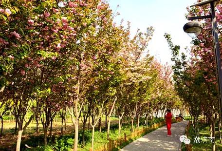 济南可以免费烧烤的景点,山东济南景点打卡地点推荐