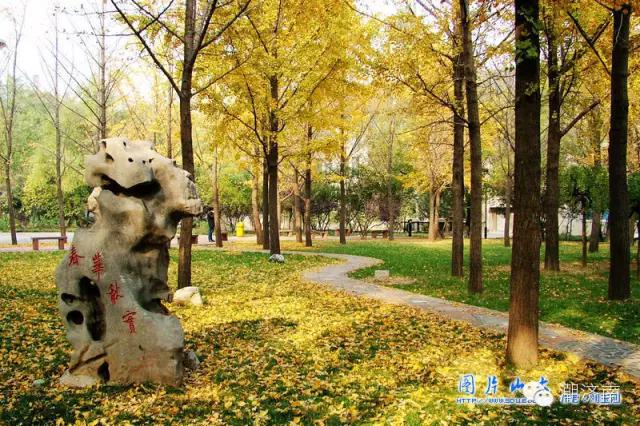 济南可以免费烧烤的景点,山东济南景点打卡地点推荐