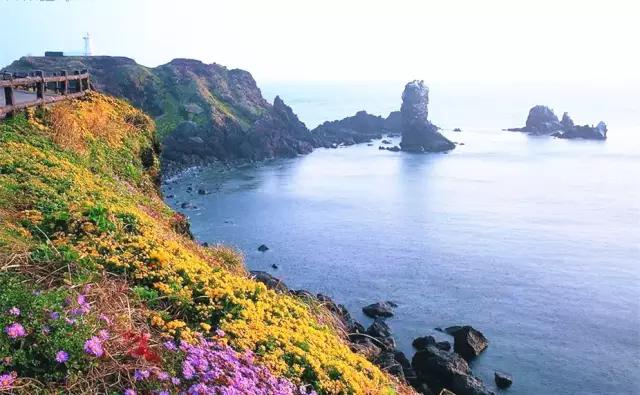 旅游所需的护照签证等申请攻略,出国旅游护照签证办理流程图