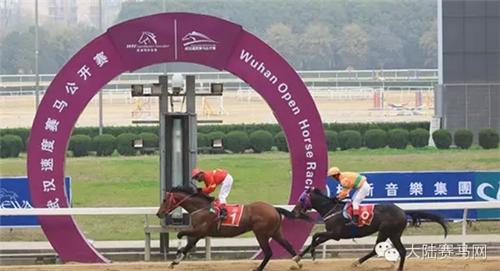 武汉赛马比赛时间表,武汉速度赛马公开赛入场时间