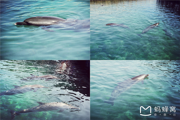 一起去三亚旅游就是最好的陪伴,三亚攻略自由行情侣