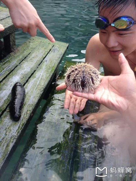 一起去三亚旅游就是最好的陪伴,三亚攻略自由行情侣